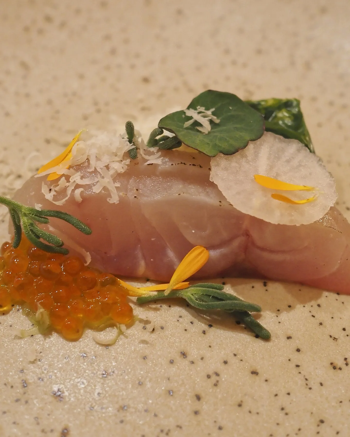A tasting-menu course of raw fish with roe, flowers and herbs on a speckled plate